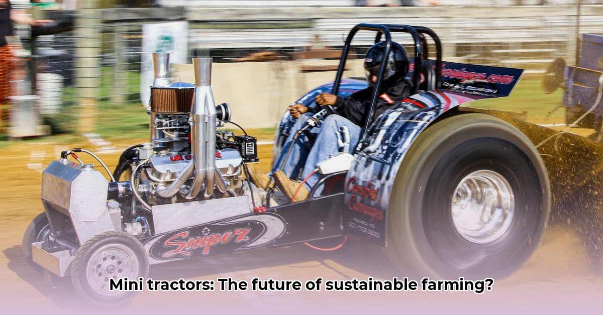 mini-rod-tractor-pulling